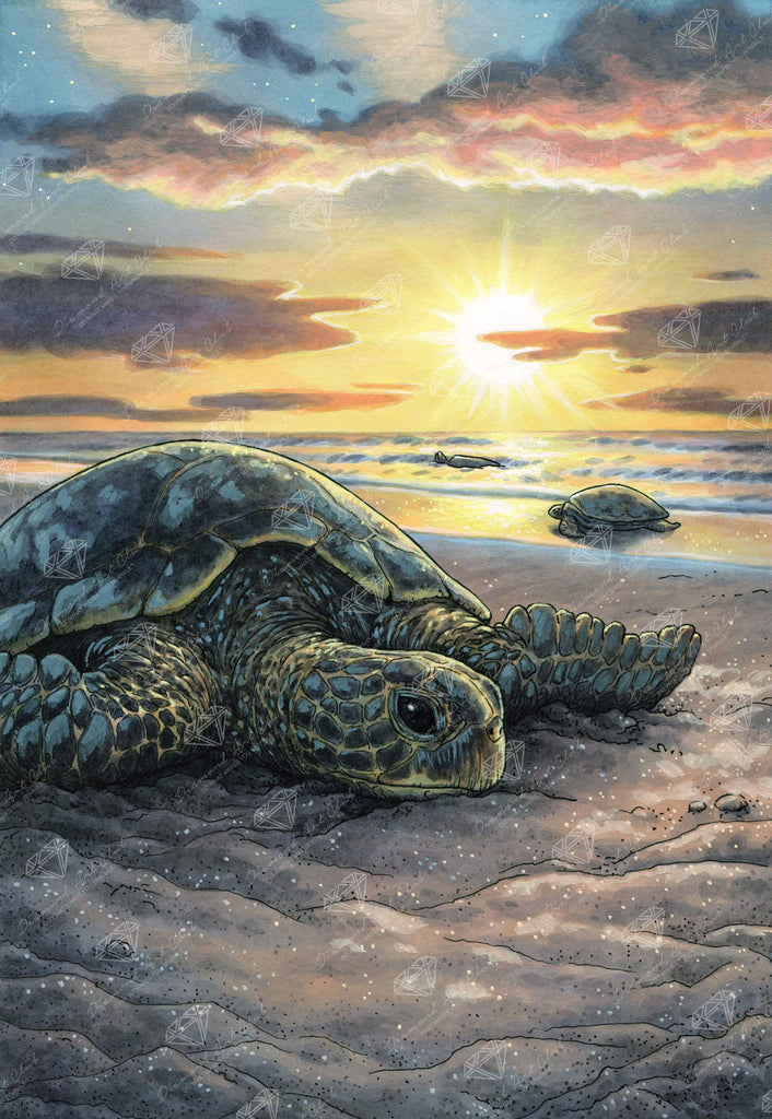 Everyday Witch's Familiars - The Sea Turtle