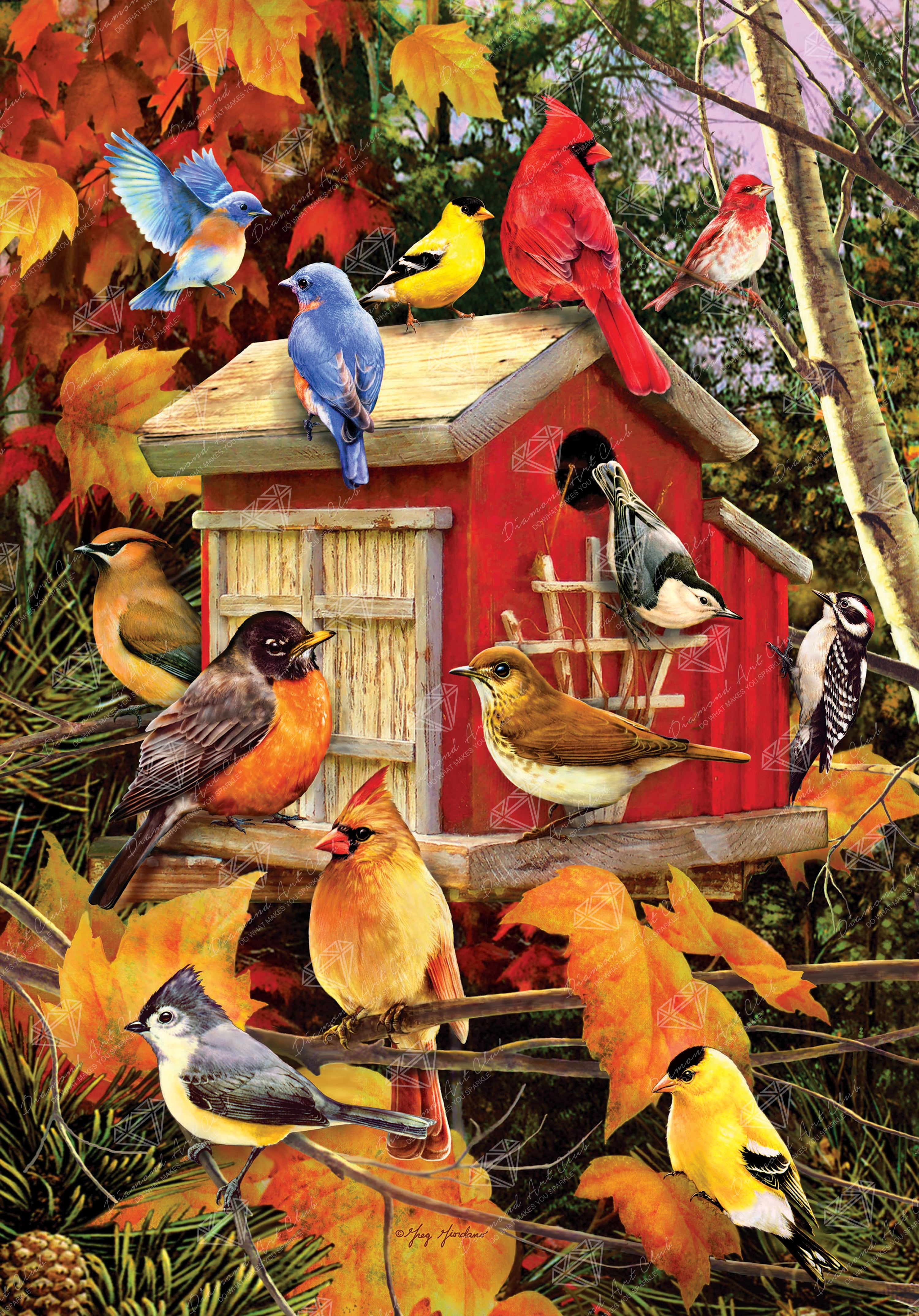 Fall Bird Paintings Birds Of Paradise – Studio Hám