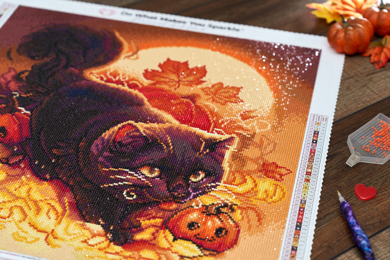 Diamond Painting Halloween Cat 20" x 20" (50.7cm x 50.7cm) / Round With 49 Colors Including 3 ABs / 32,761