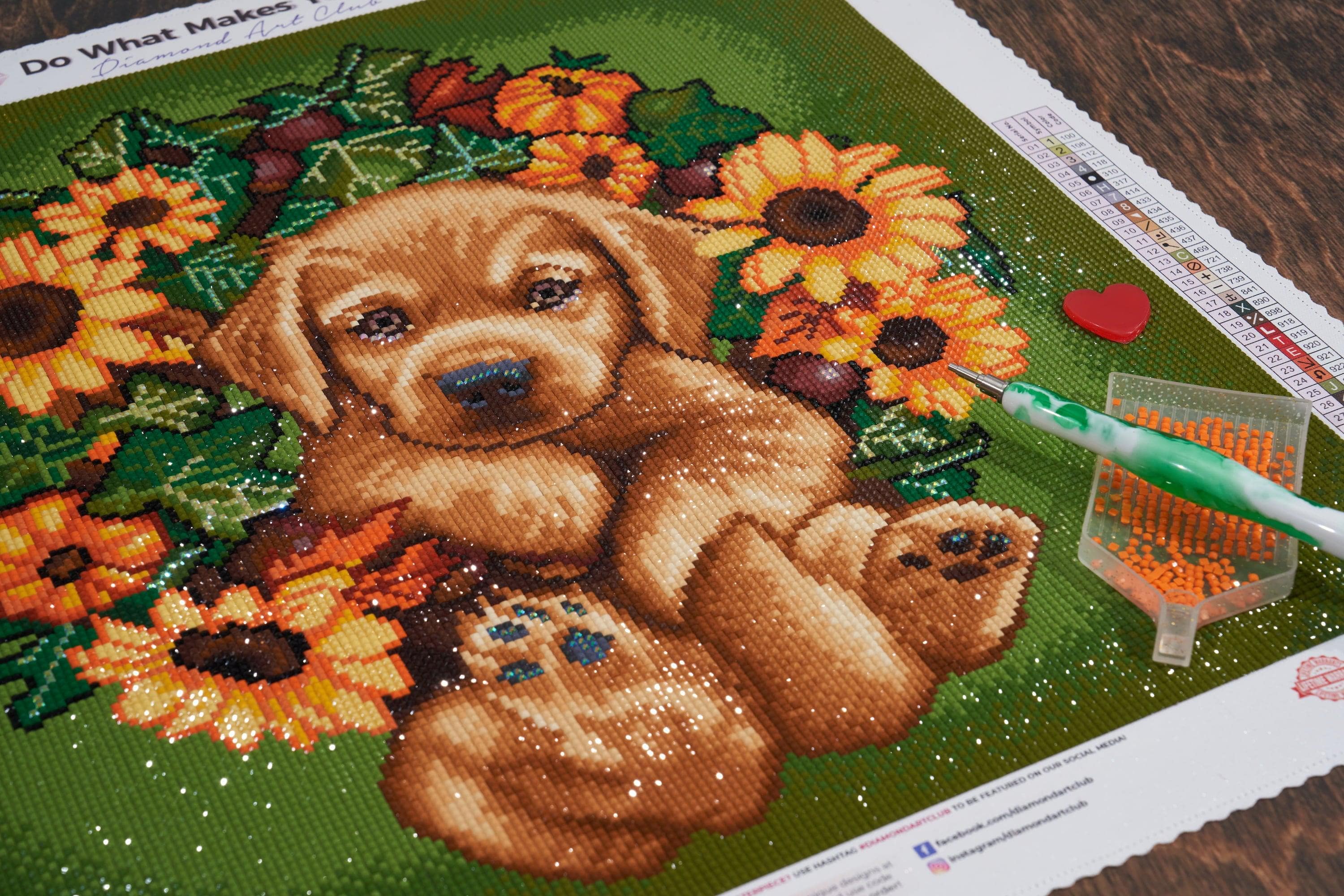 Puppies Dog Diamond Painting Cute House Displays Embroidery
