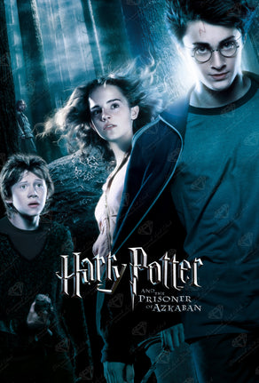 Harry Potter™ - Wizardry with Hedwig Poster
