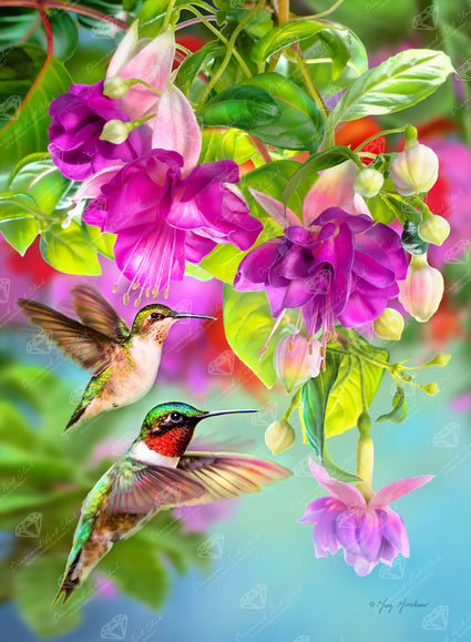 Diamond Painting Hummingbird & Fuchsia 22" x 30" (55.8cm x 75.9cm) / Square with 78 Colors including 2 ABs and 3 Fairy Dust Diamonds / 68,320