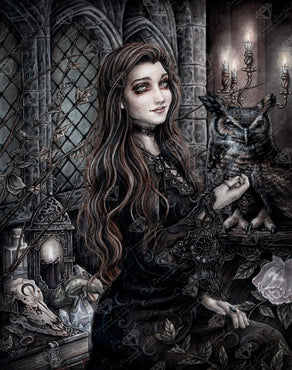 Diamond Painting Liz - The Good Witch 22" x 28" (55.8cm x 70.7cm) / Square with 23 Colors including 2 ABs and 1 Fairy Dust Diamond / 63,616