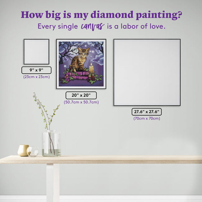 Diamond Painting Magic Lessons 20" x 20" (50.7cm x 50.7cm) / Round with 45 Colors including 2 AB and 1 Iridescent Diamonds and 3 Fairy Dust Diamonds / 32,761