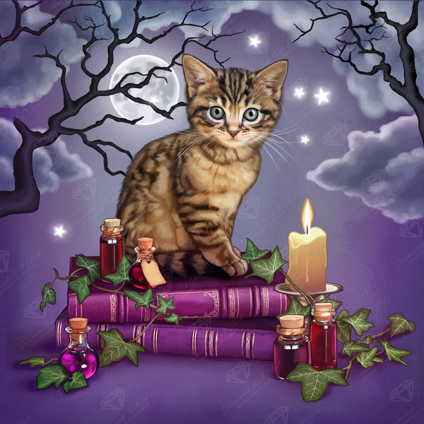 Maria Magic Lessons Magic Lessons – Diamond Art Club