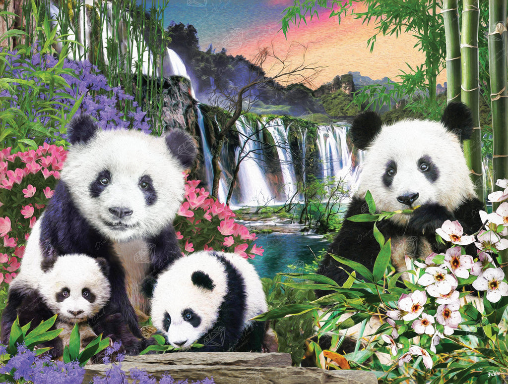 Panda Bears