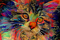 Diamond Painting Psychedelic Maine Coon Cat 38.6" x 25.6" (98cm x 65cm) / Square with 60 Colors including 6 ABs / 102,573