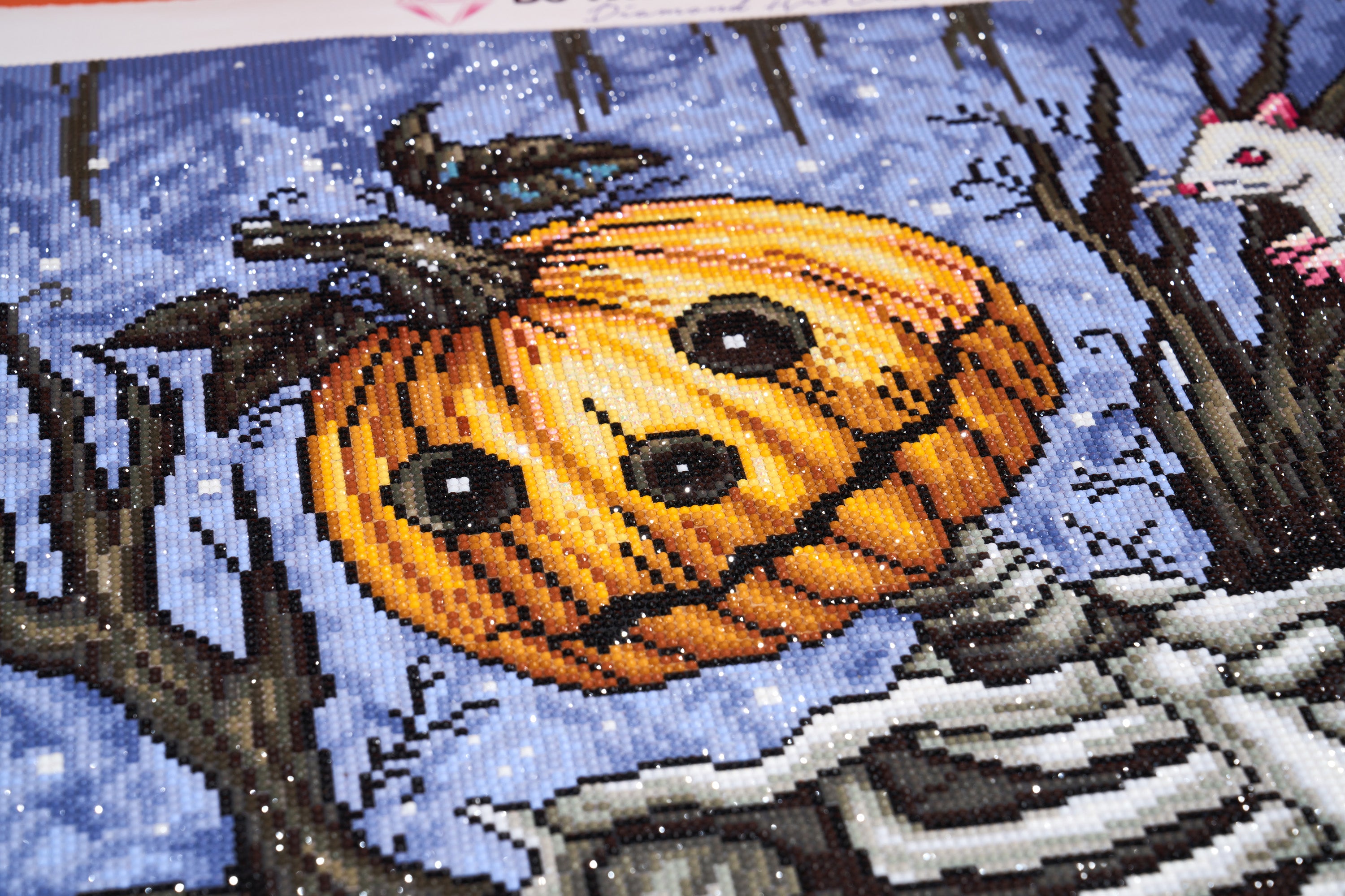 Pumpkin Head – Diamond Art Club