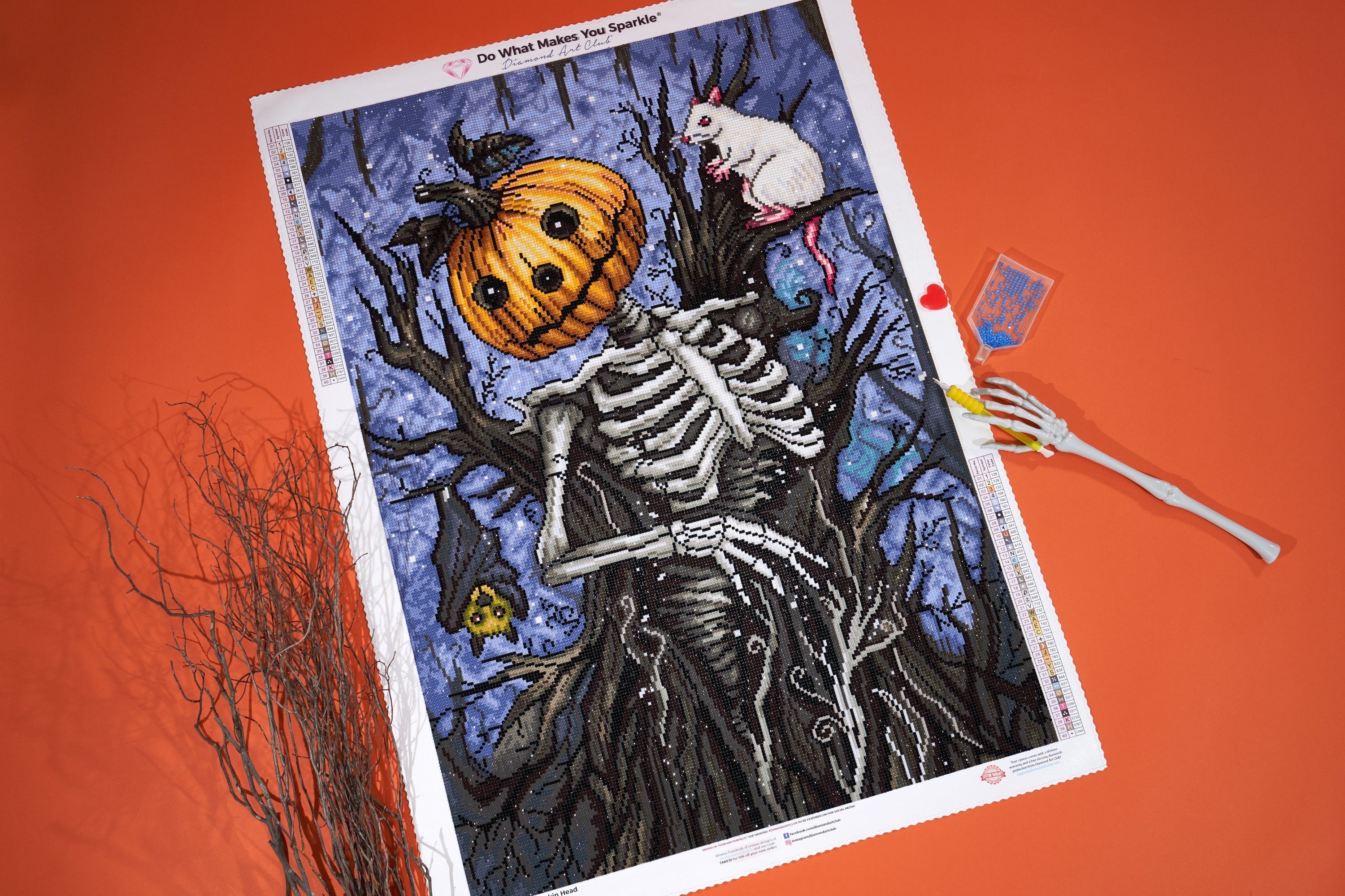 Pumpkin Head – Diamond Art Club