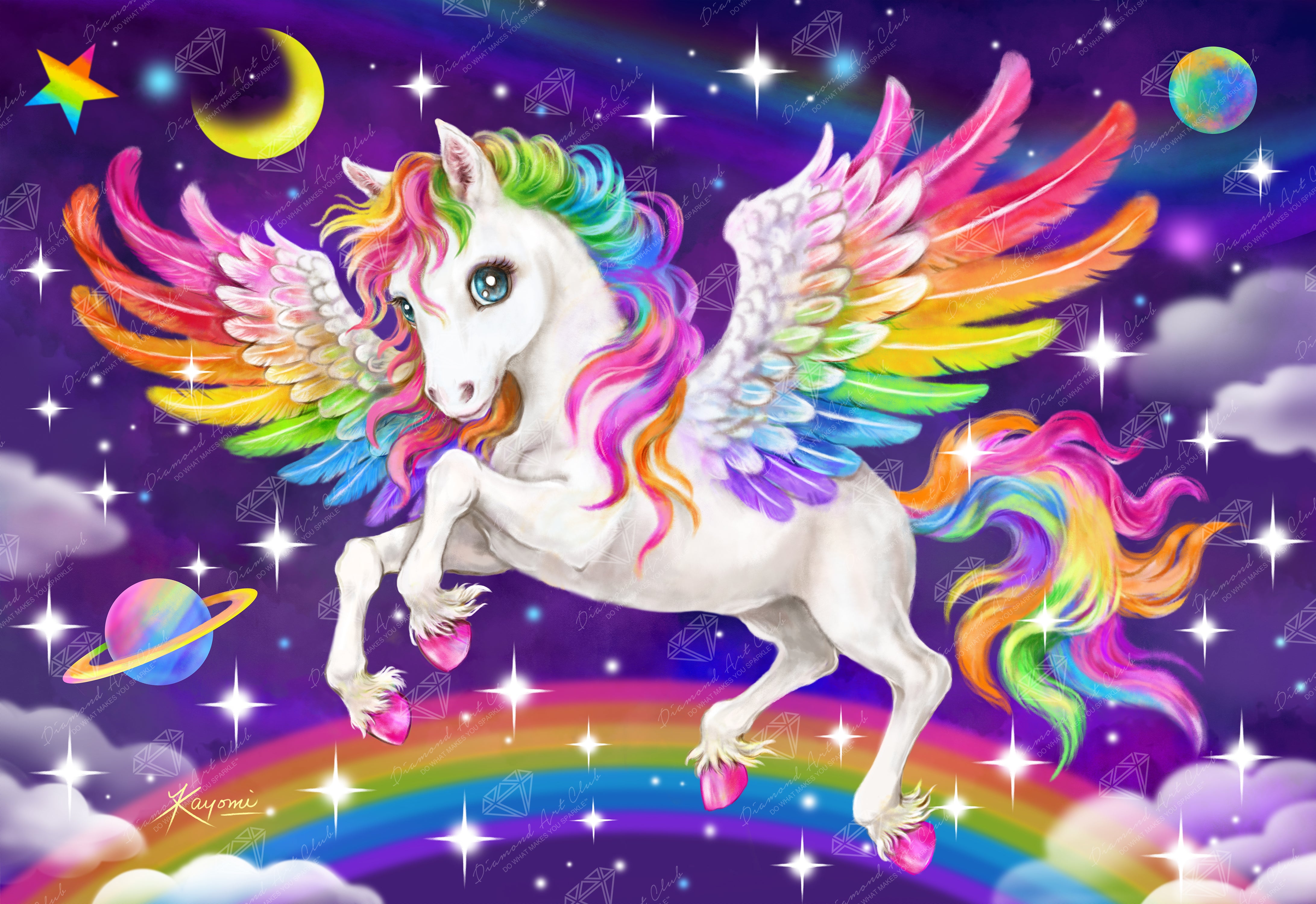 ダイヤモンドアートクラブ Rainbow Flower Power ダイヤモンドアートクラブ Rainbow Flower Power