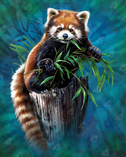 Diamond Painting Red Panda Munchies 22" x 27" (55.6cm x 68.8cm) / Round with 60 Colors including 4 ABs and 2 Fairy Dust Diamonds / 50,500