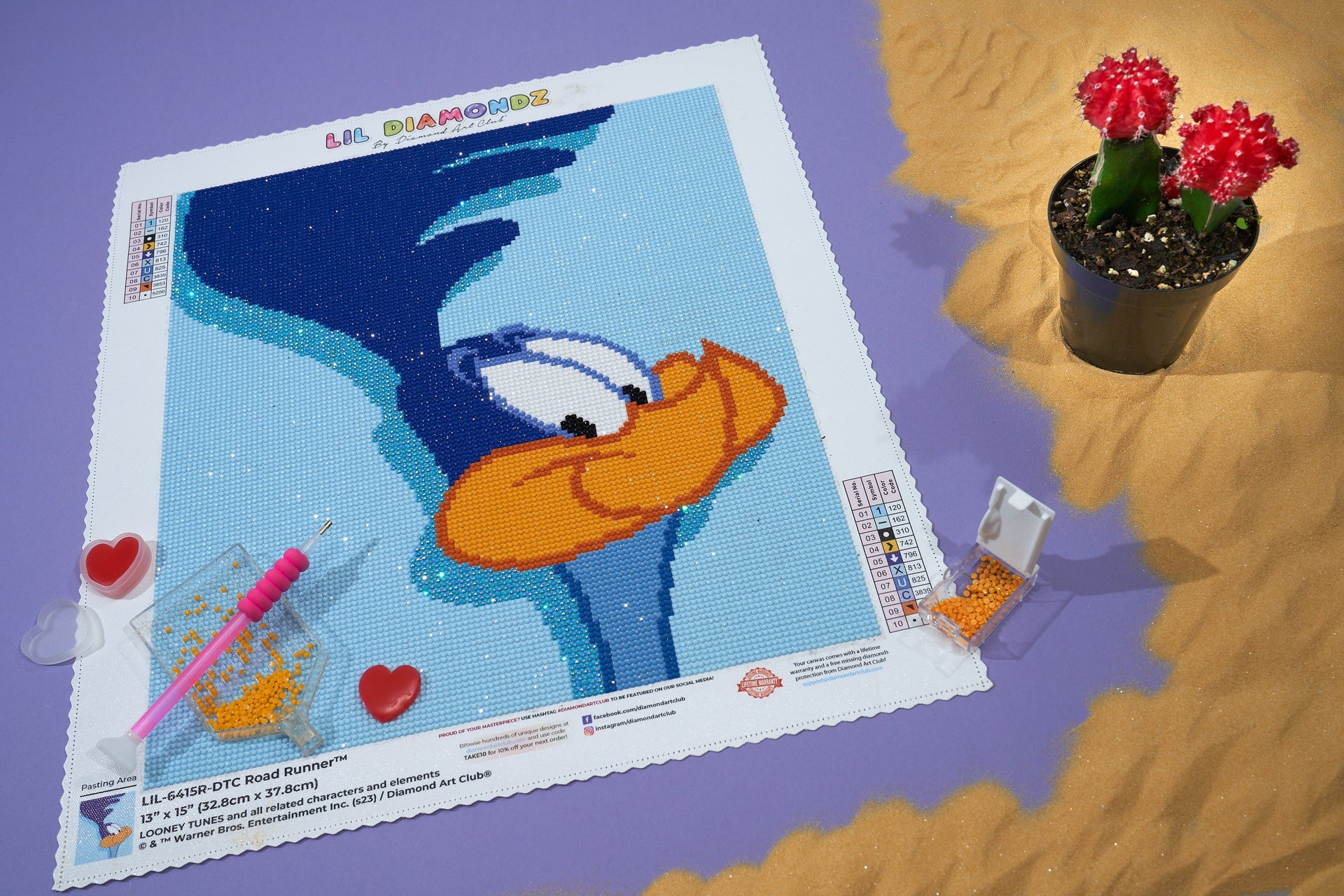 Diamond Painting Road Runner™ 13" x 15" (32.8cm x 37.8cm) / Round With 10 Colors Including 1 ABs / 15,795