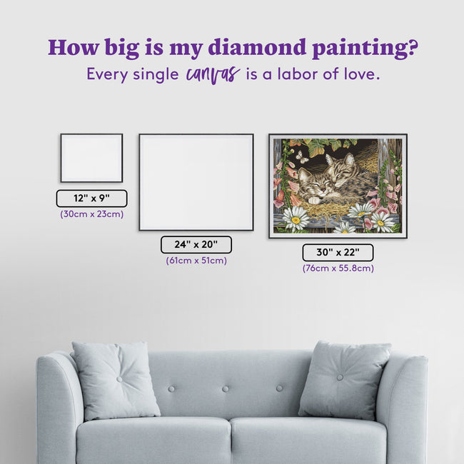 Diamond Painting Sisters 30" x 22" (76cm x 55.8cm) / Square with 49 Colors including 3 ABs and 2 Fairy Dust Diamonds / 68,320