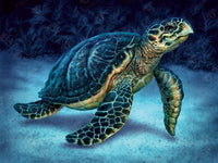 Diamond Painting Smiling Sea Turtle 31.5" x 23.6" (80cm x 60cm) / Square with 46 Colors including 2 ABs and 2 Fairy Dust Diamonds / 77,361