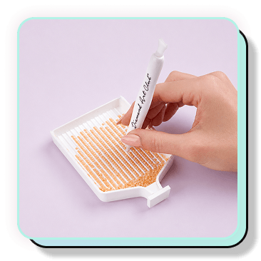 Sorting Tray