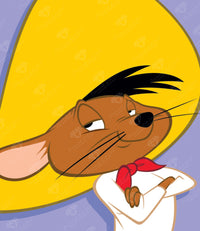 Diamond Painting Speedy Gonzales™ 13" x 15" (32.8cm x 37.8cm) / Round With 13 Colors Including 1 ABs / 15,795