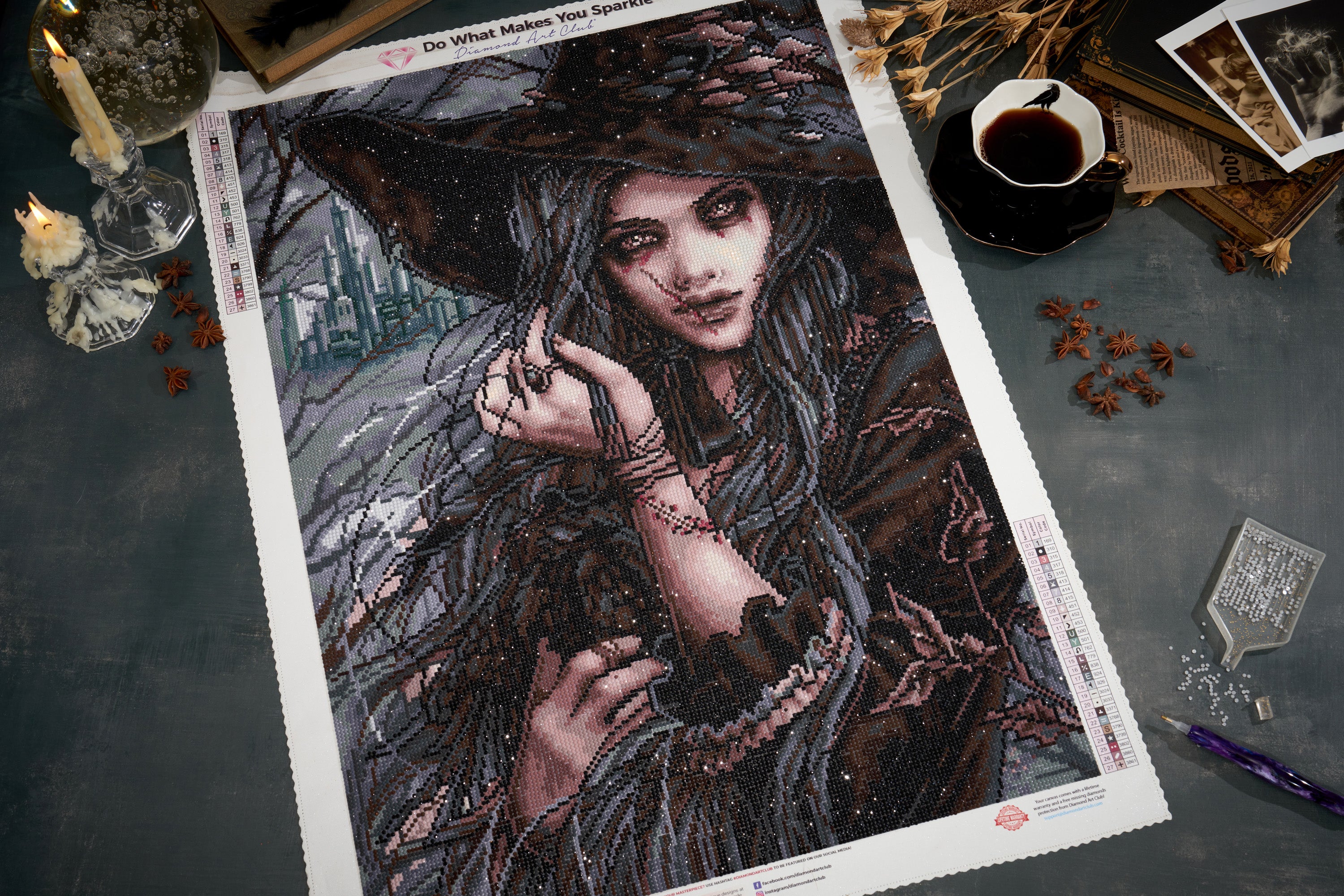 The Wicked Witch – Diamond Art Club