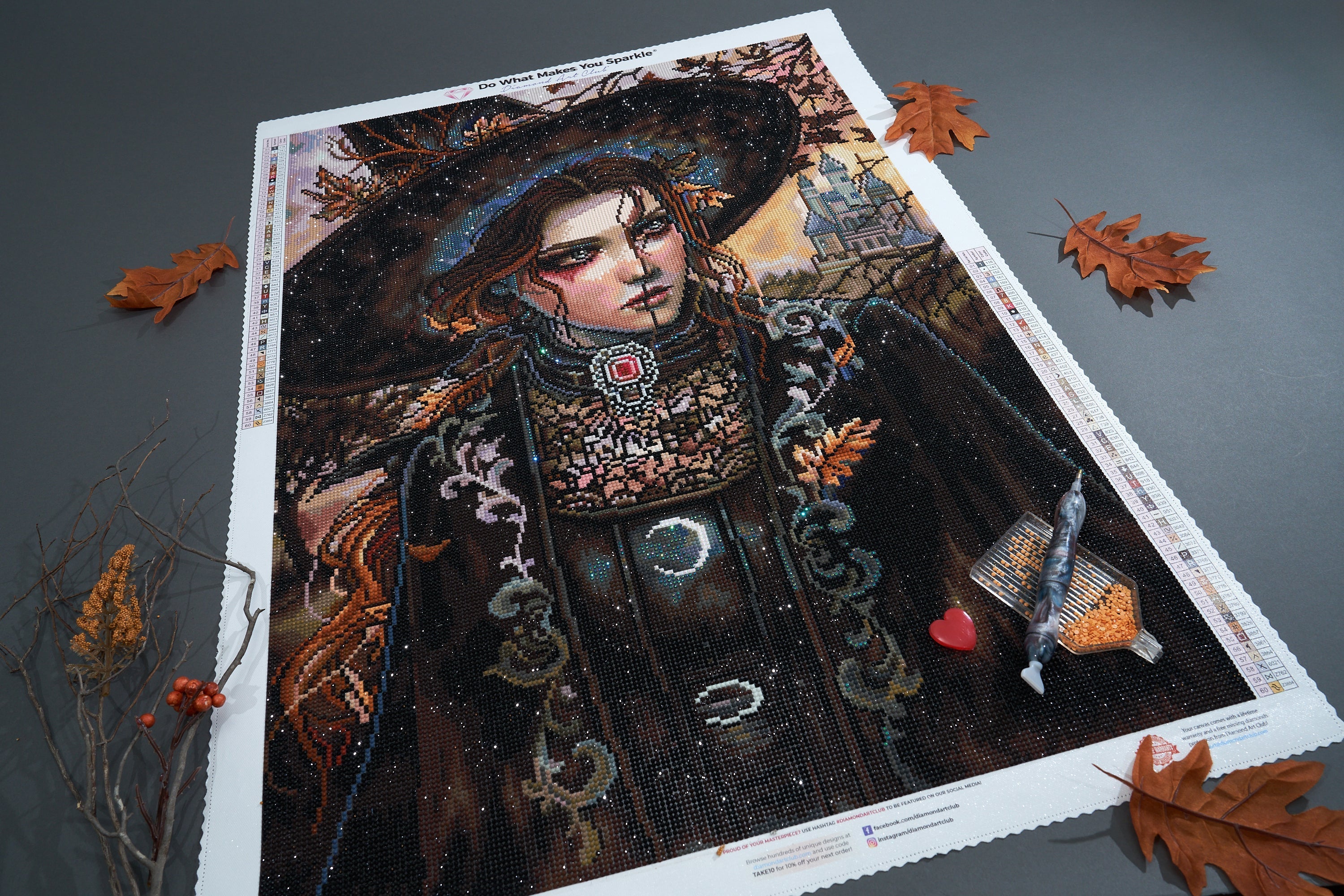 The Witch Who Stole the Night Diamond Painting Kit – Diamond Art Club