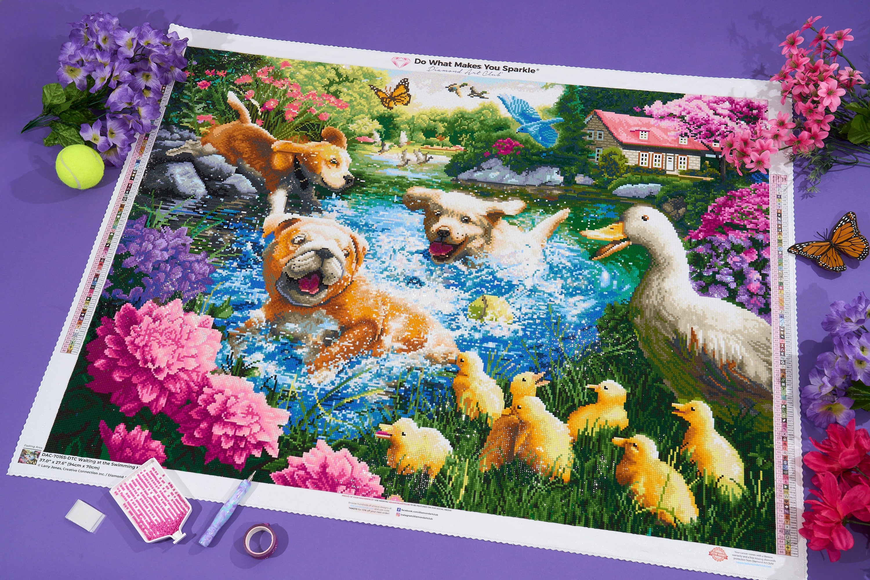 Diamond Art Club STEP SIBLINGS By Larry Jones Diamond Painting Kit