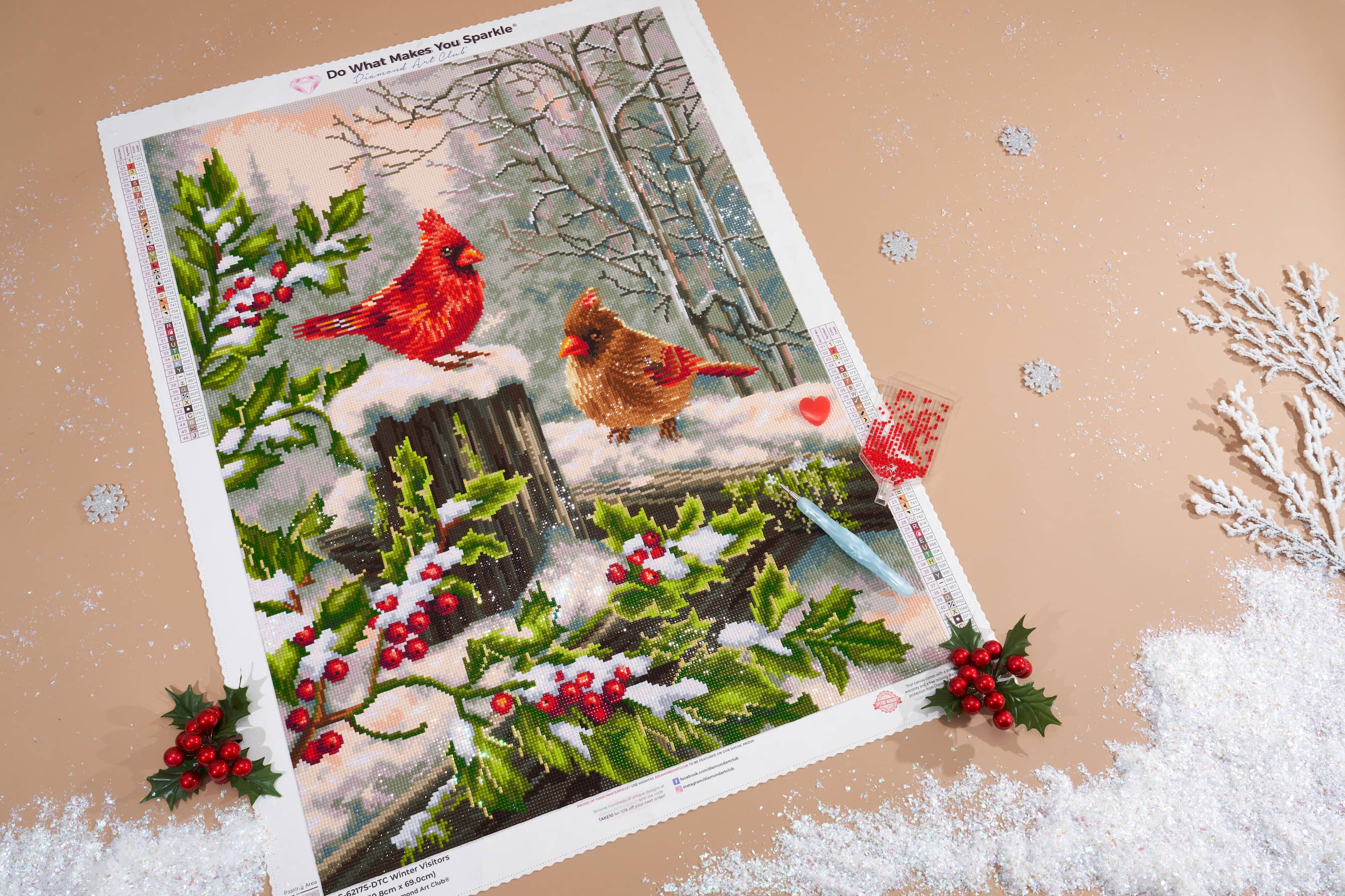 Winter Visitors – Diamond Art Club