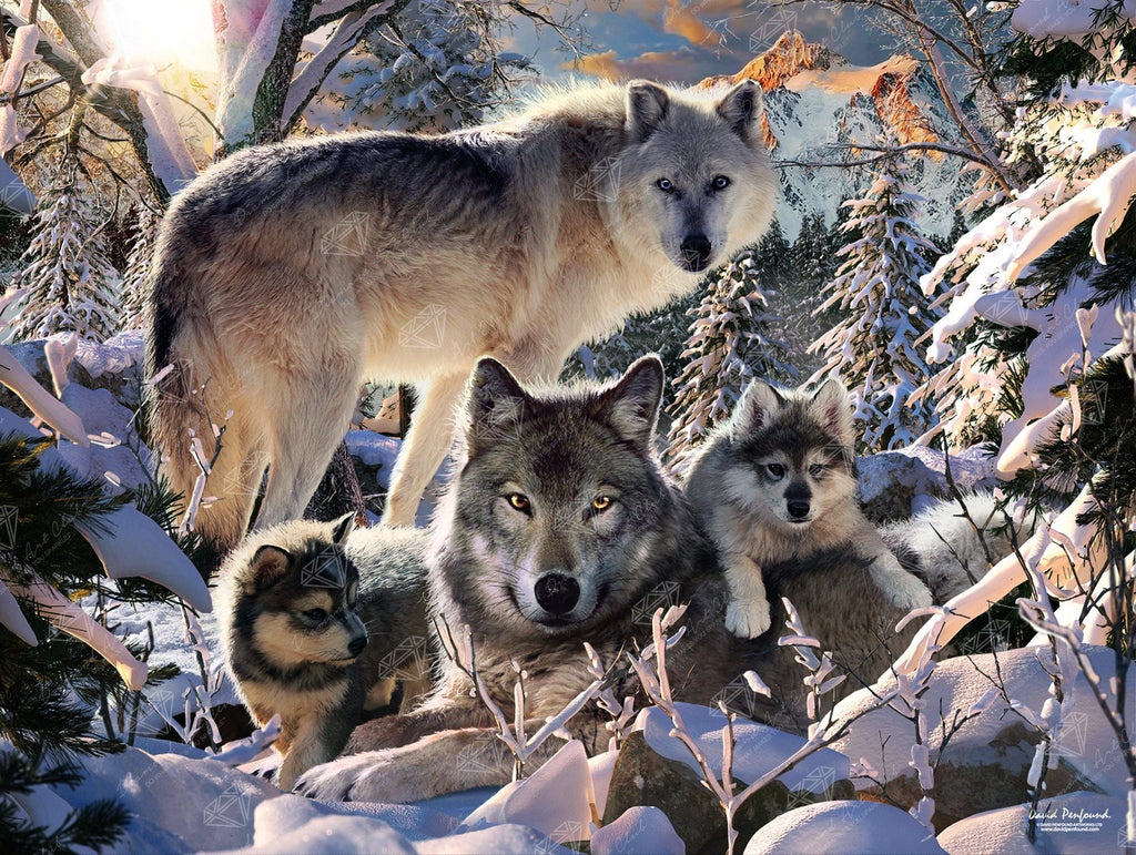Winter Wolf Family