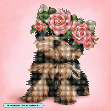 Diamond Painting Yorkie & Roses-AMZ 13" x 13″ (33cm x 33cm) / Square with 33 Colors including 4 ABs / 7,047