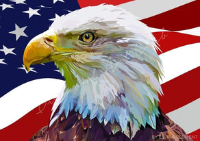 Diamond Painting America The Greatest Round With Aurora Borealis Accents / 16.5" x 24.0" (42cm x 61cm) / 32 Colors including 1 AB