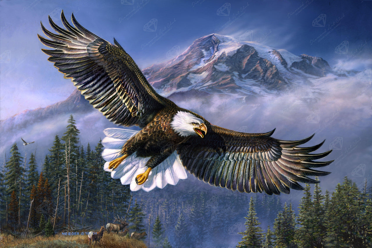 Diamond Painting American Anthem 33" x 22″ (84cm x 56cm) / Square with 43 Colors including 4 ABs / 73,372