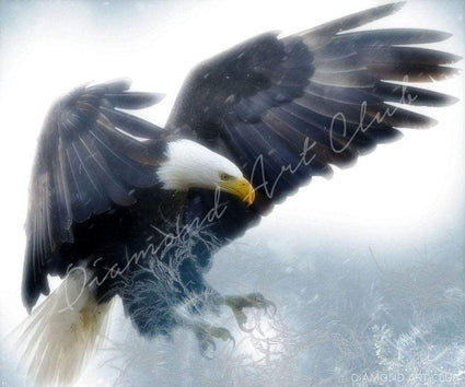 Diamond Painting Arctic Eagle Chill Square / 14.1″ x 16.5″ (36 cm x 42cm) / 23 Colors