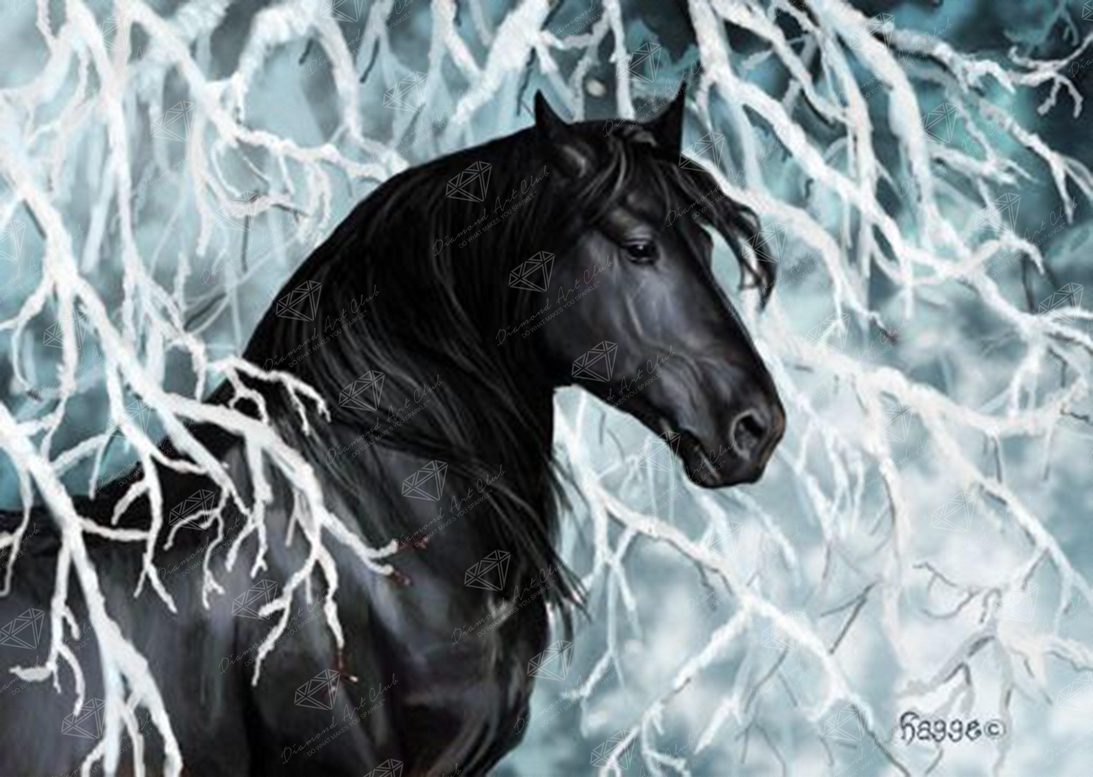 Diamond Painting Black Rearing Horse – Diamonds Wizard