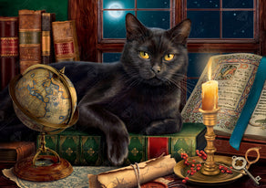 Diamond Painting Black Cat by Candlelight 39.0" x 27.6″ (99cm x 70cm) / Square with 52 Colors including 2 ABs / 108,583