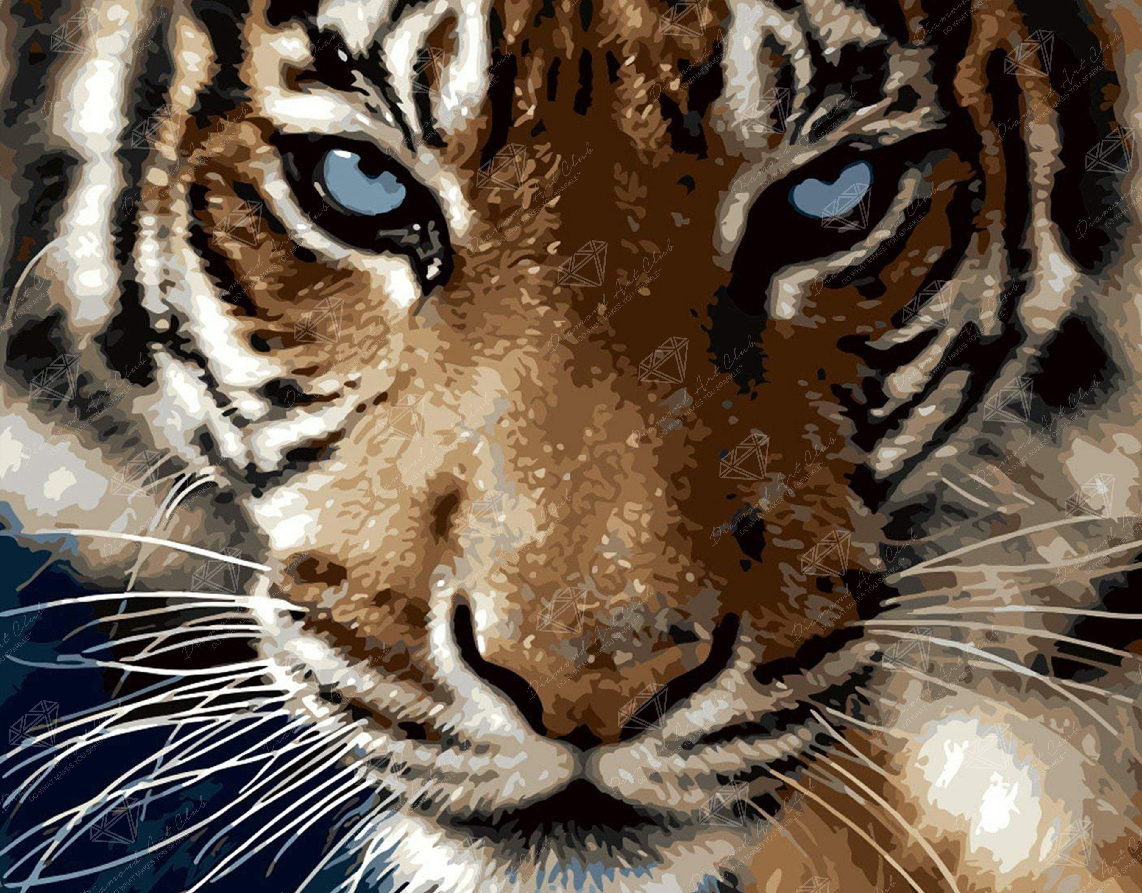 Blue Eyed Tiger – Diamond Art Club