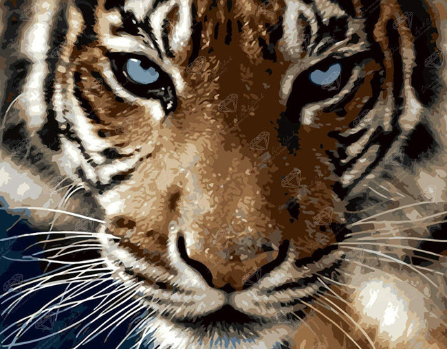 Diamond Painting Blue Eyed Tiger 16.9" x 21.3" (43cm x 54cm) / Square With 20 Colors