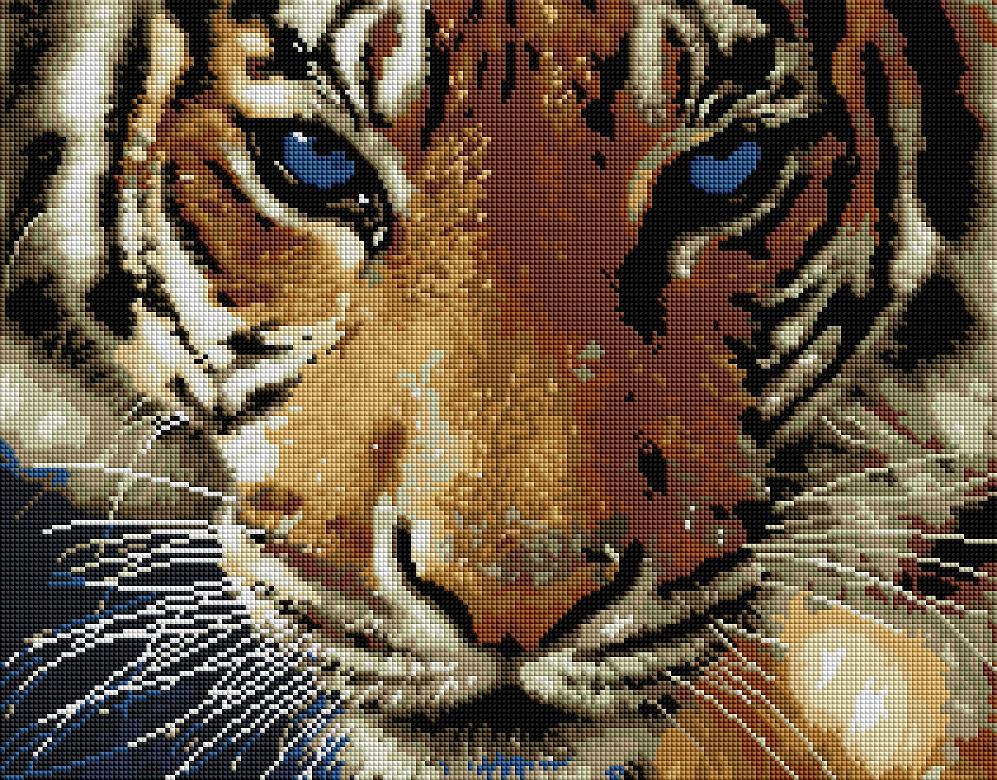 Blue Eyed Tiger – Diamond Art Club