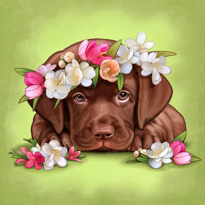 Diamond Painting Chocolate Labrador 16" x 16″ (41cm x 41cm) / Round with 28 Colors including 4 ABs / 8,982