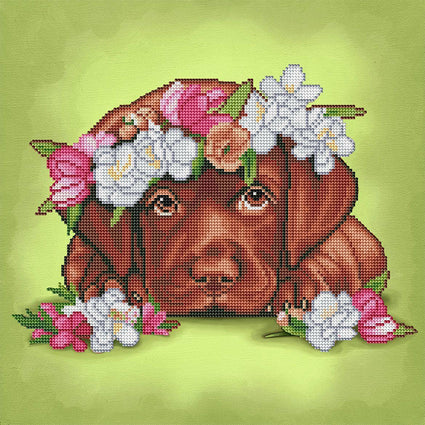 Diamond Painting Chocolate Labrador 16" x 16″ (41cm x 41cm) / Round with 28 Colors including 4 ABs / 8,982