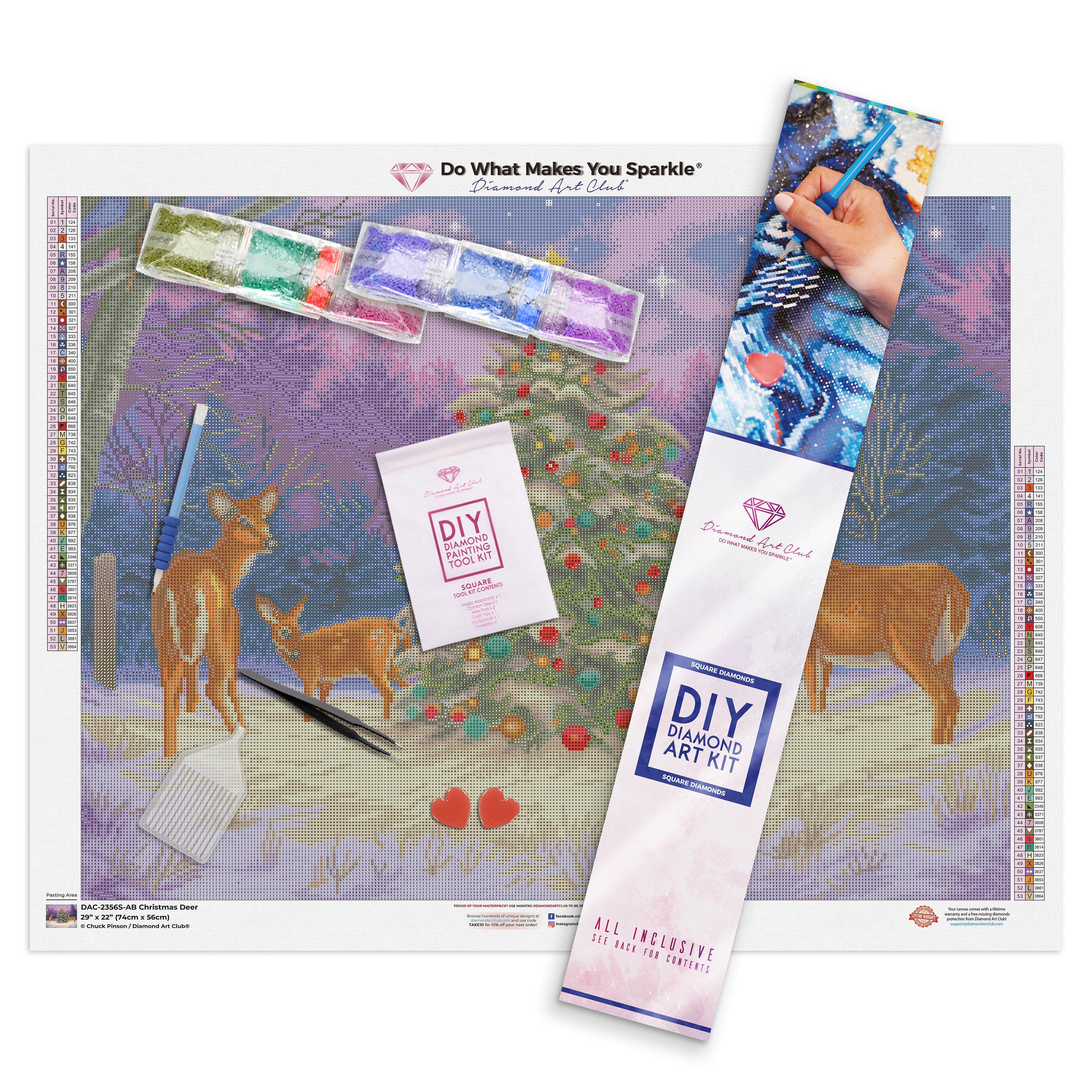 Christmas Deer Diamond Art Club unboxing. 🦌🎄This was my most