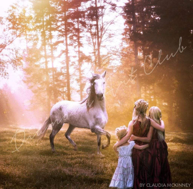 Diamond Painting Dreamland Square / 19.7″ x 20.0″ (50 cm x 51cm) / 35 Colors