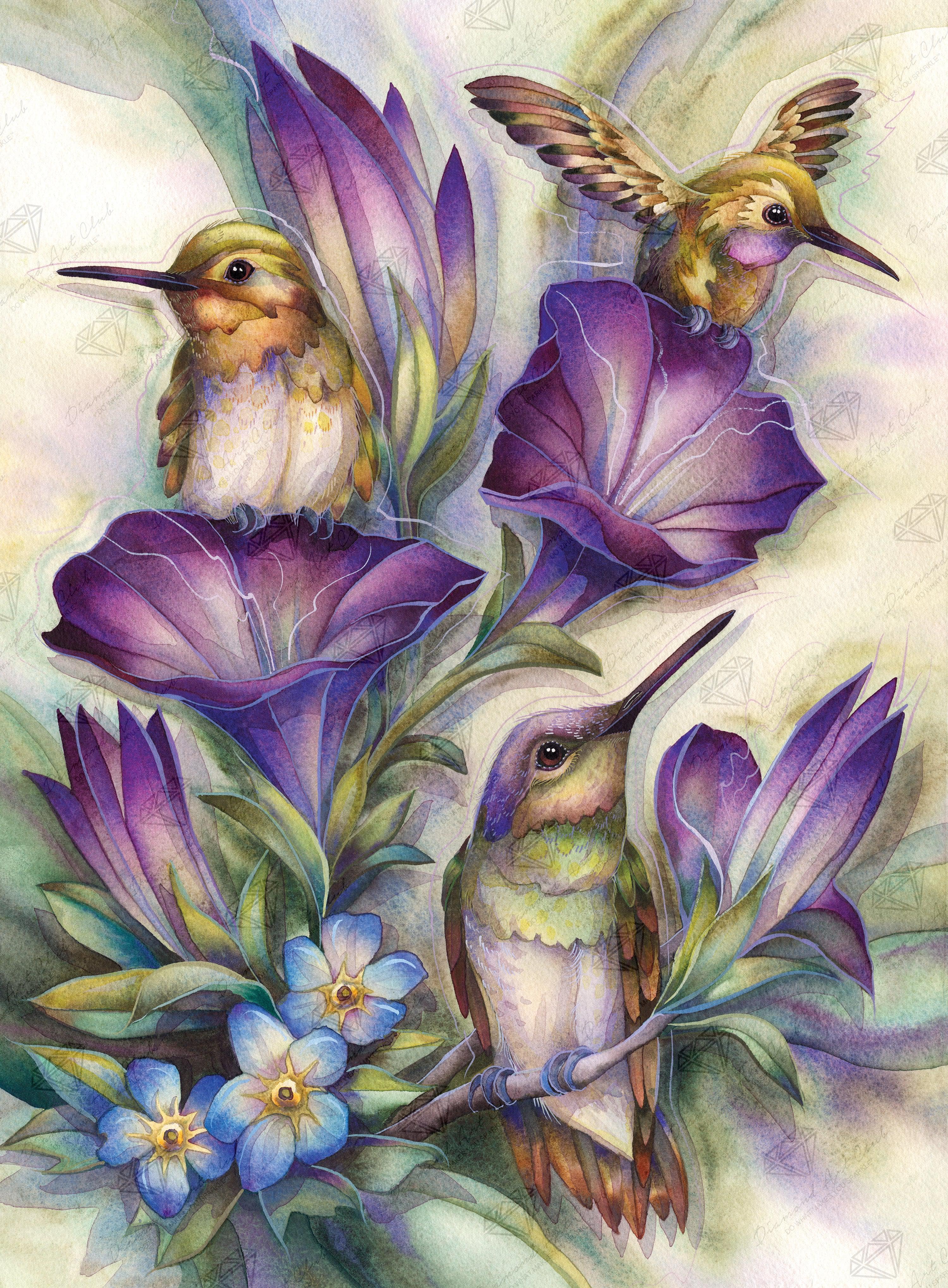 Hummingbird – Diamond Art Club