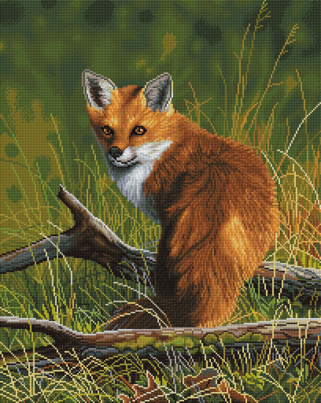 Diamond Painting Fox 20" x 25" (51cm x 64cm) / Square With 41 Colors Including 3 ABs / 52,224
