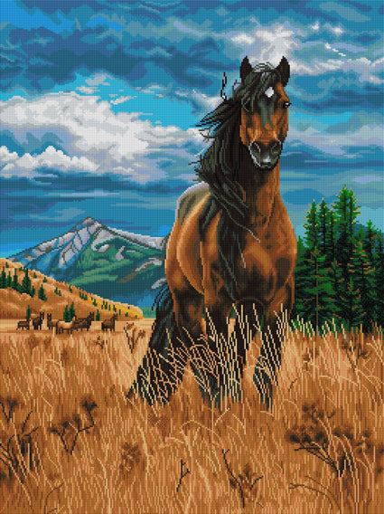 Diamond Painting Freedom 25.6" x 34.3" (65cm x 87cm) / Square with 48 Colors including 5 ABs / 91,089