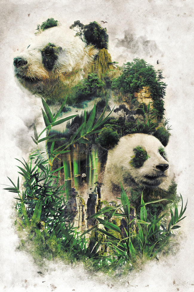 Diamond Painting Giant Panda 22" x 33" (56cm x 84cm) / Square With 35 Colors Including 4 ABs / 73,372