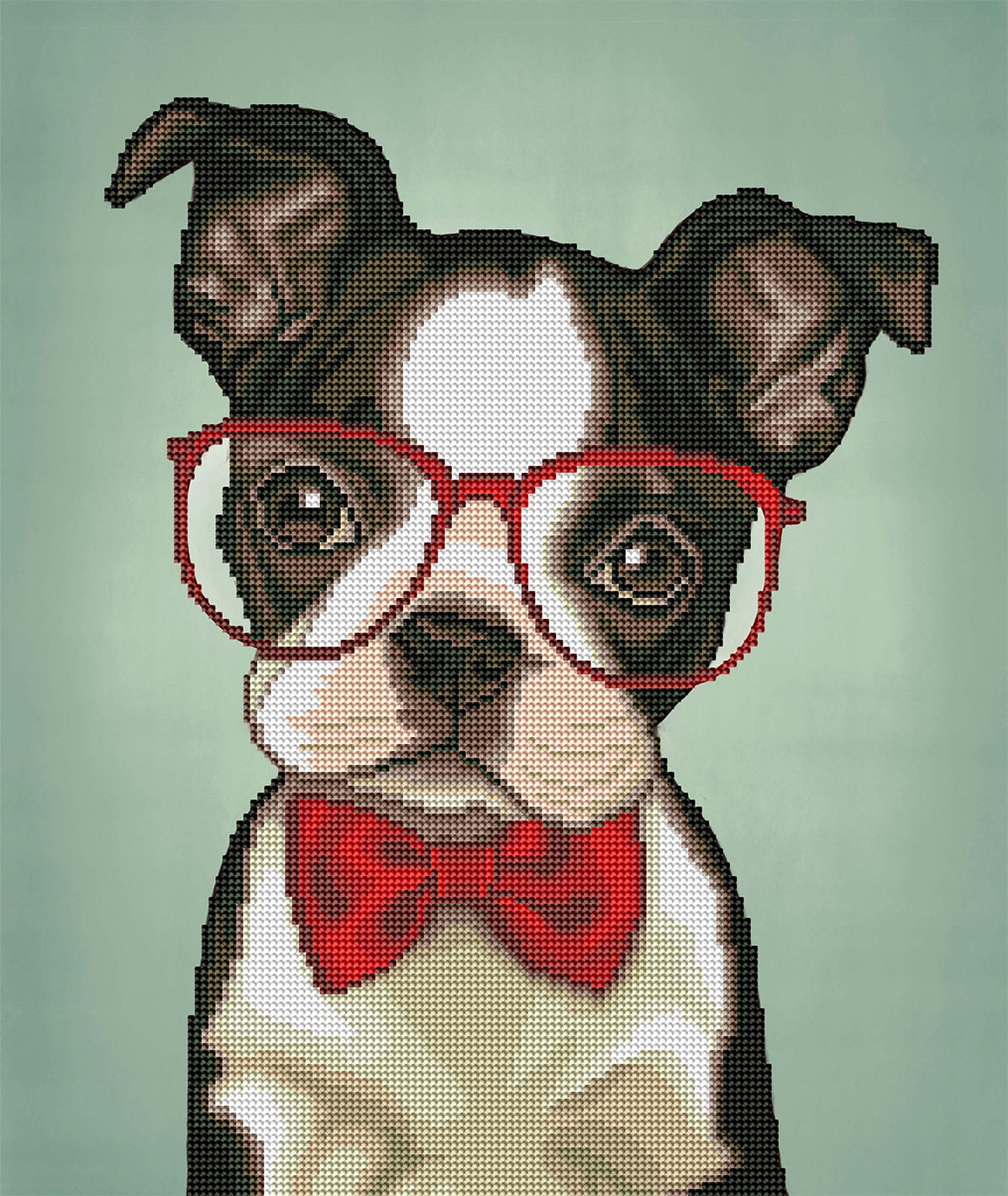 Carolines Treasures Dac8011chf 40 x 28 in. Boston Terrier Happy Birthday House Flag Carolines Treasures Dac8011chf 40 x 28 in. Boston Terrier Happy Birthday House Flag