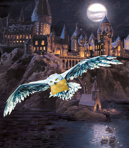 Diamond Painting Hogwarts And Hedwig 22" x 25″ (56cm x 64cm) / Round With 47 Colors Including 2 ABs / 45,372