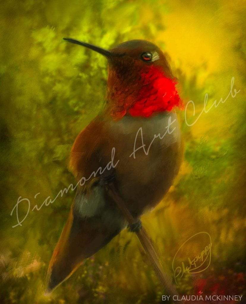 Diamond Painting Hummingbird Round With Aurora Borealis Accents / 12.6" x 15.7" (32cm x 40cm) / 28 Colors including 1 AB