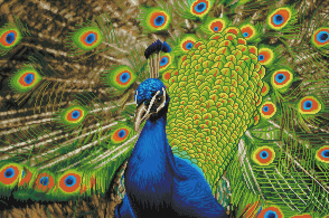 Diamond Painting Indian Peafowl 21.7" x 32.7″ (55cm x 83cm) / Round With 37 Colors Including 2 AB / 57,332