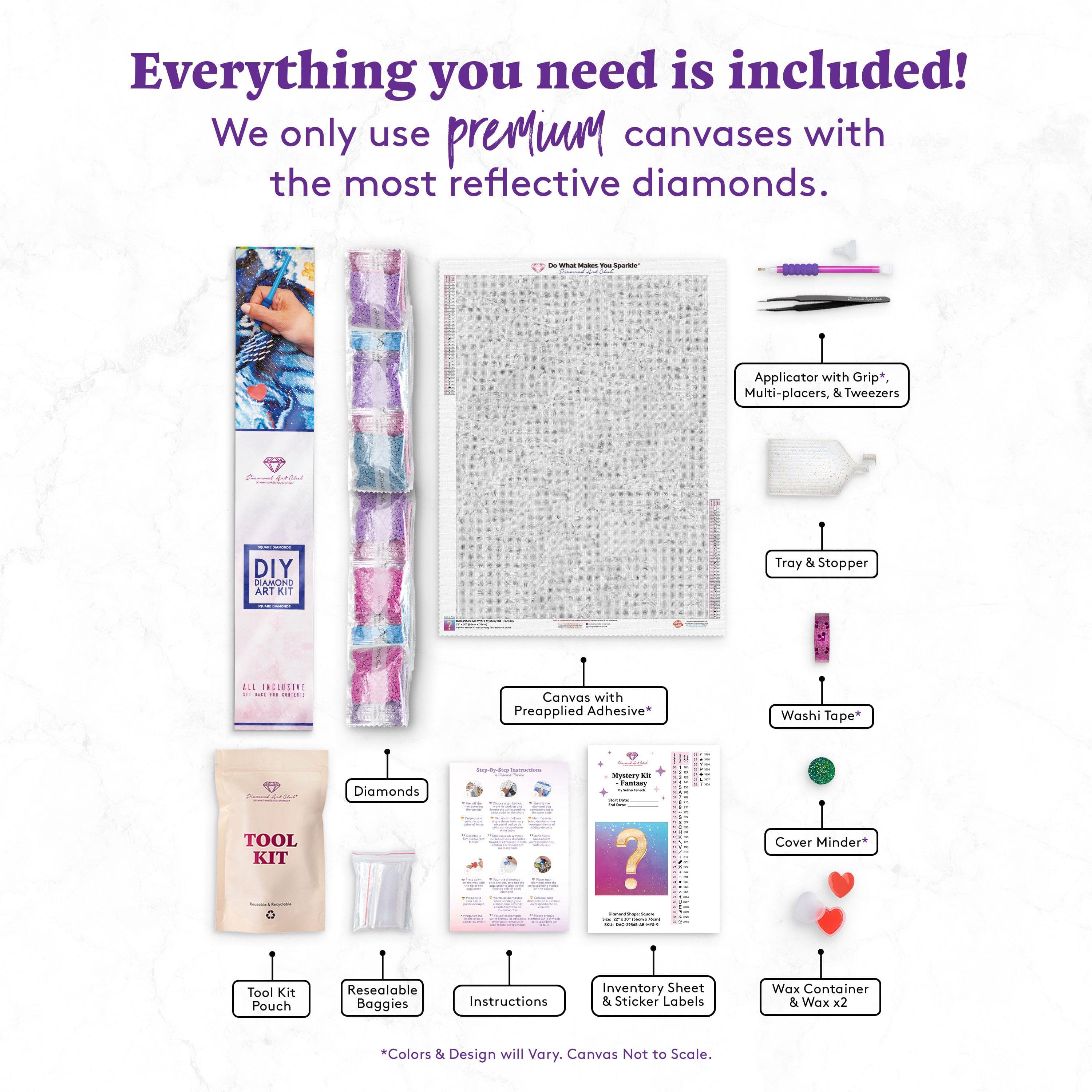 Mystery Kit #9 - Fantasy – Diamond Art Club