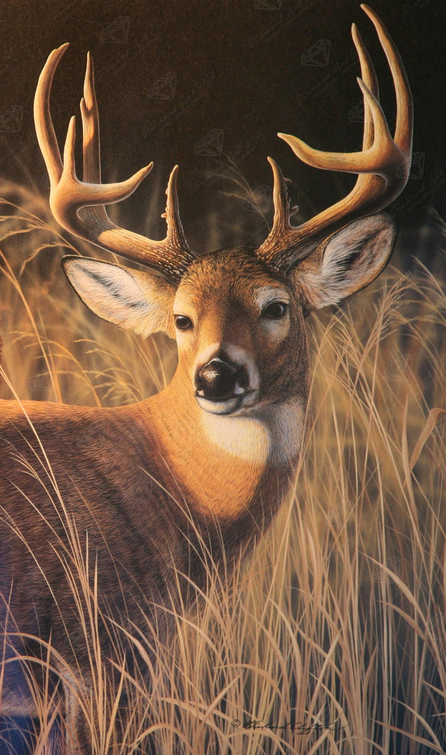 Diamond Painting Oak Island Whitetail 20" x 34" (51cm x 86cm) / Round With 30 Colors Including 3 ABs / 55,386
