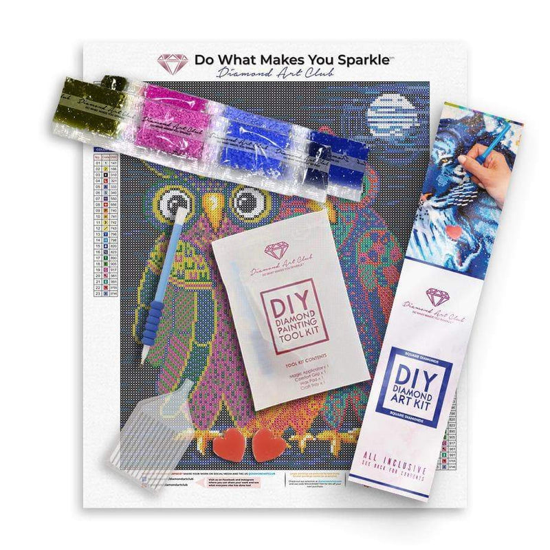 Diamond Painting Owl I Want Is You 12.6" x 15.7" (32cm x 40cm) / Square With 23 Colors Including 1 AB / 19,625