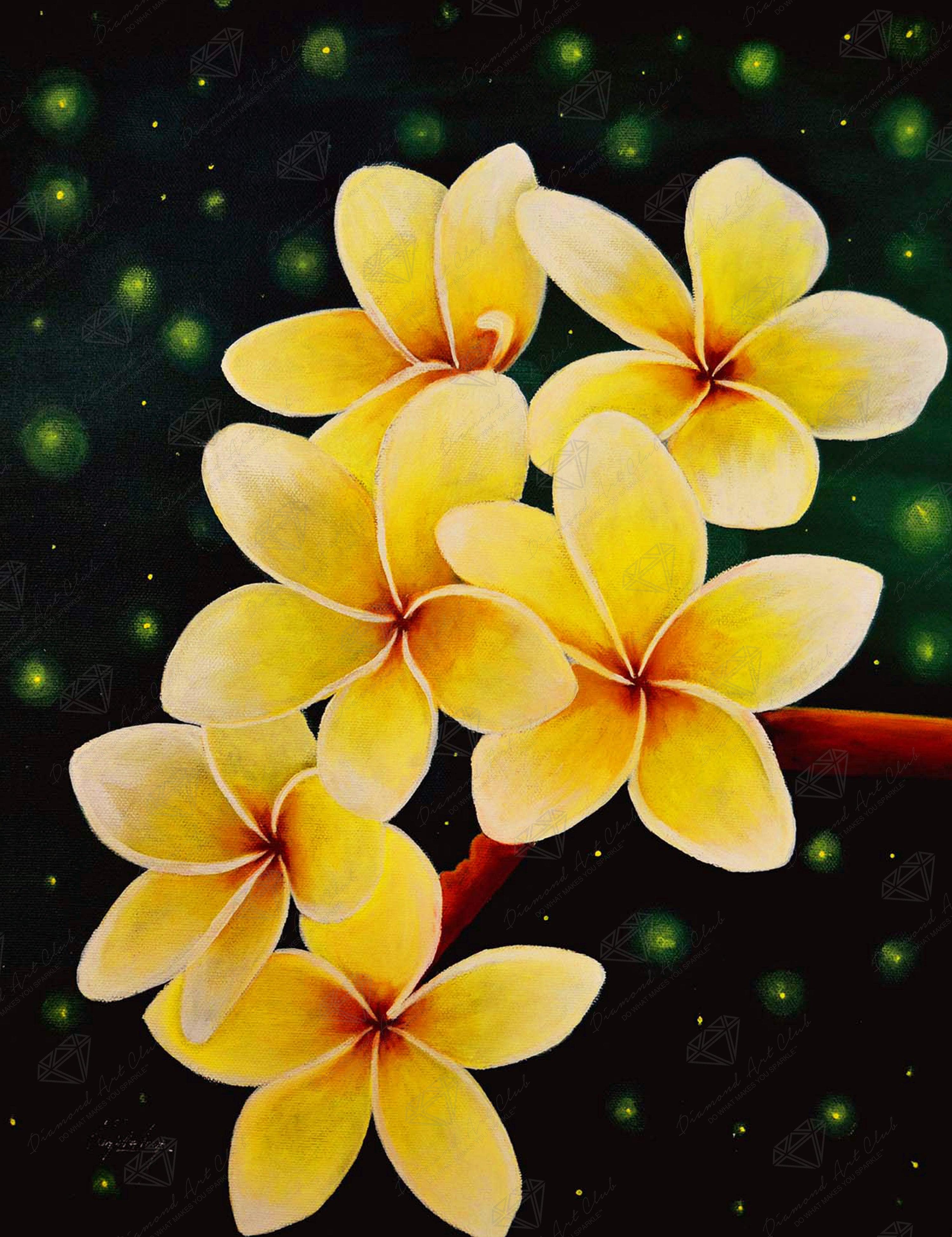 Plumeria Flower plumeria-flower